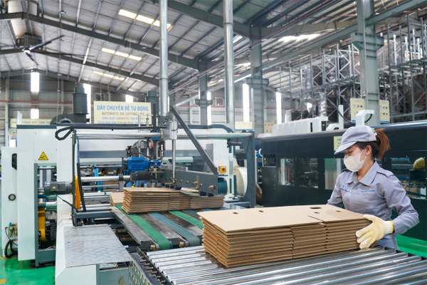 Khung cảnh thường ngày tại nhà xưởng bao bì 