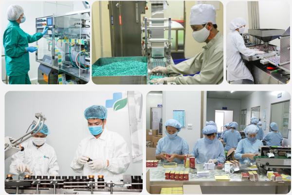 Các công việc thường diễn ra tại nhà xưởng dược phẩm 
